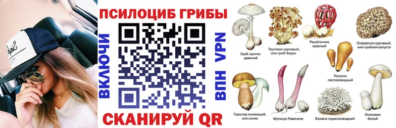 Псилоцибиновые грибы Cubensis  цена наркотик  Геленджик 